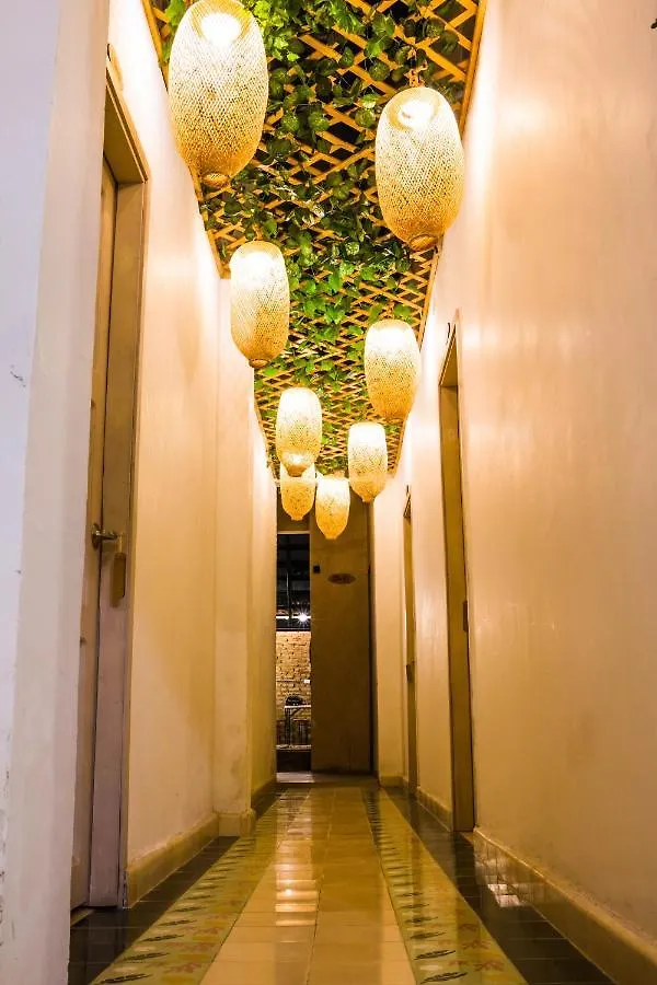 Hostel Musa Paradisiaca Santa Marta