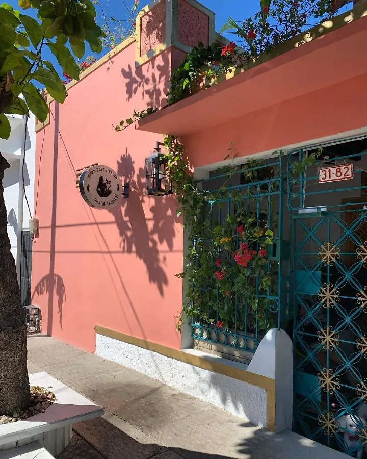 Hostel Musa Paradisiaca Santa Marta