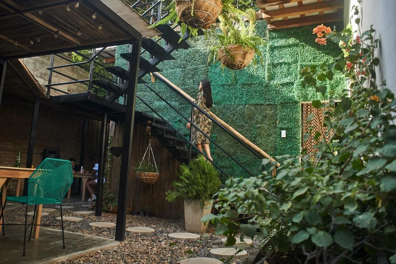 Hostel Musa Paradisiaca Santa Marta   Santa Marta (Magdalena)