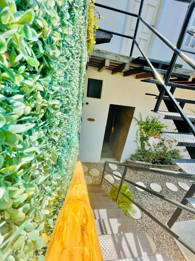 Hostel Musa Paradisiaca Santa Marta