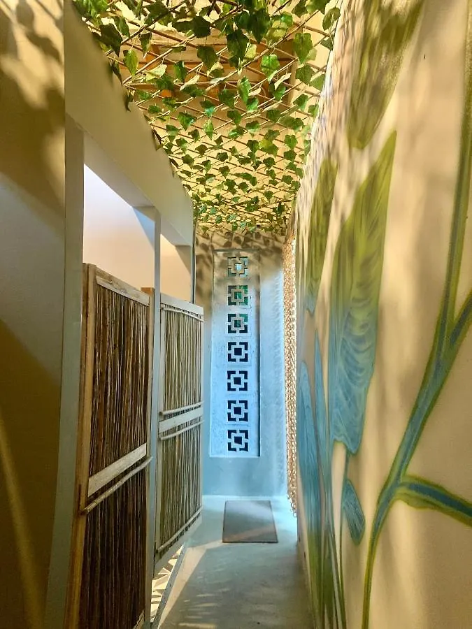 Hostel Musa Paradisiaca Santa Marta   Santa Marta (Magdalena)