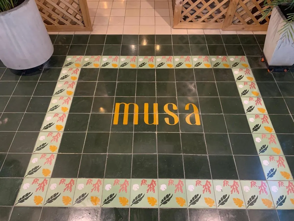 Hostel Musa Paradisiaca Santa Marta   Santa Marta (Magdalena)