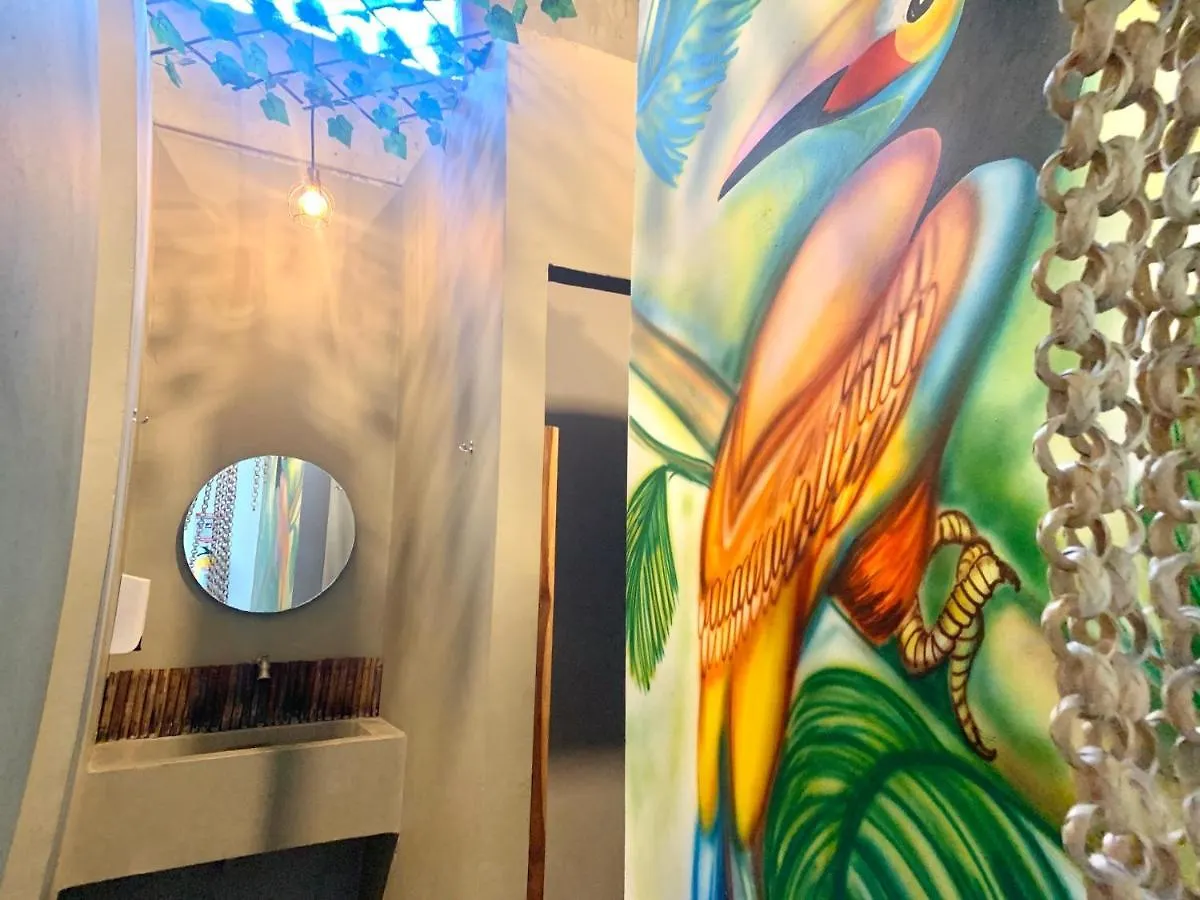 Hostel Musa Paradisiaca Santa Marta  Colombia